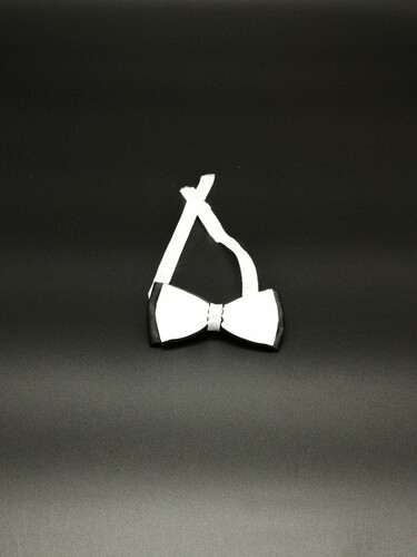 Boy fly made of satin white and black